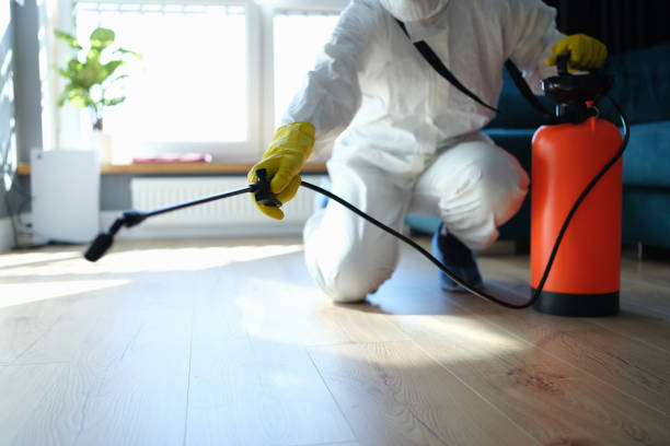 Trusted Unattended Death Cleanup service in Comfort, TX - Four Month Blood Cleanse